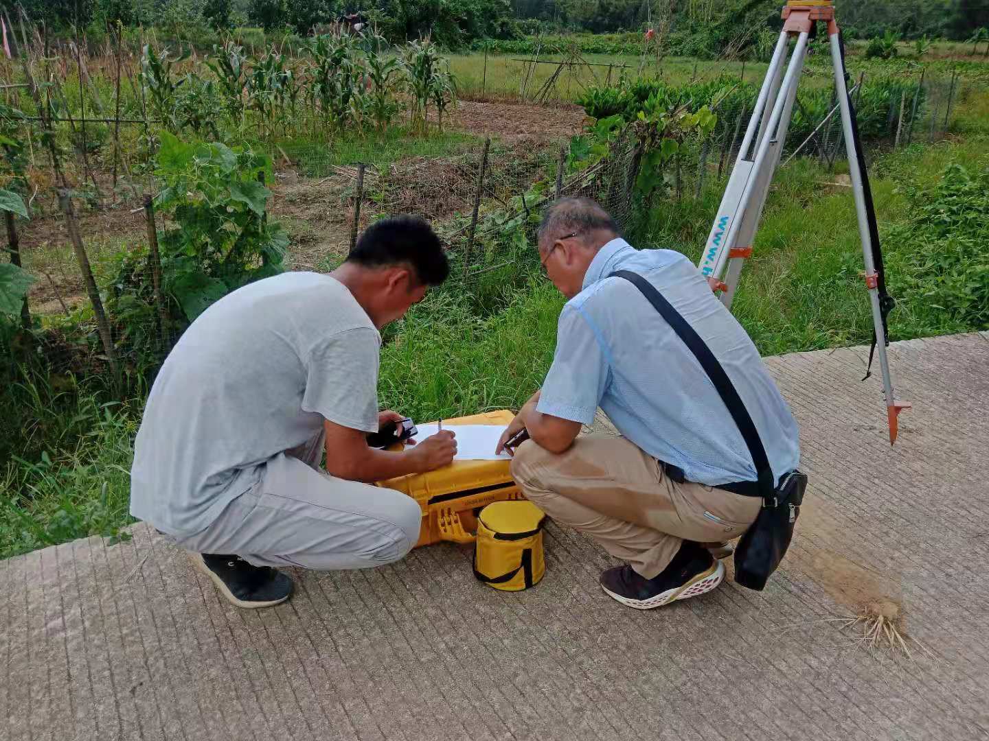 深汕特别合作区科教大道静态测量